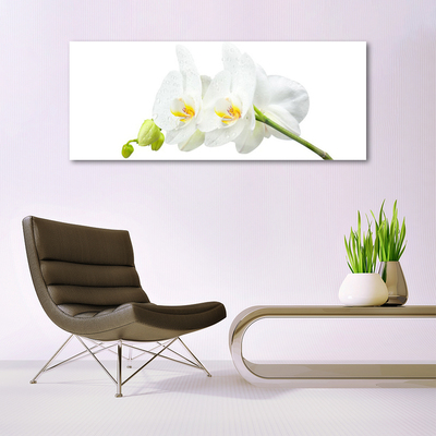 Quadro in vetro Petali di fiori Orchidea bianca