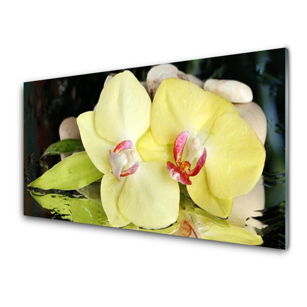 Quadro in vetro Petali di fiori di orchidea