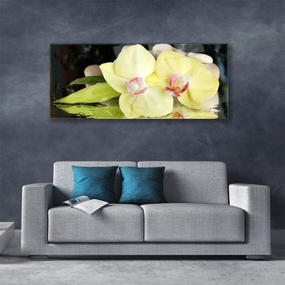 Quadro in vetro Petali di fiori di orchidea