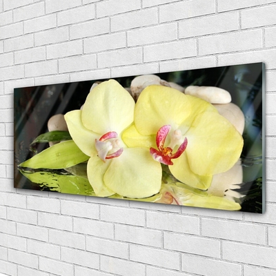 Quadro in vetro Petali di fiori di orchidea