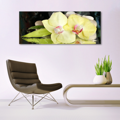 Quadro in vetro Petali di fiori di orchidea