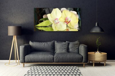 Quadro in vetro Petali di fiori di orchidea