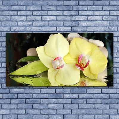 Quadro in vetro Petali di fiori di orchidea