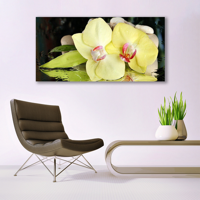 Quadro in vetro Petali di fiori di orchidea