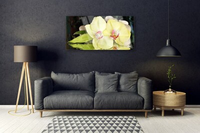 Quadro in vetro Petali di fiori di orchidea