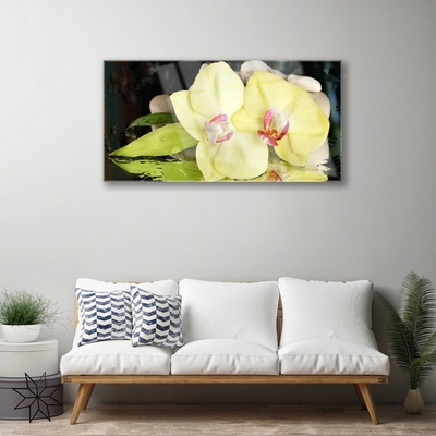 Quadro in vetro Petali di fiori di orchidea