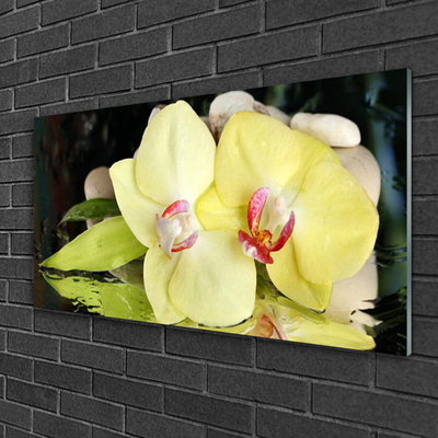 Quadro in vetro Petali di fiori di orchidea