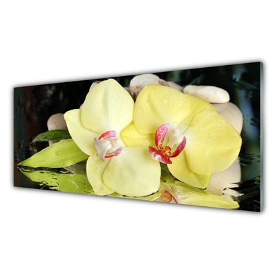 Quadro in vetro Petali di fiori di orchidea