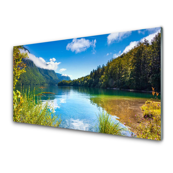 Quadro su vetro Montagne Foresta Natura Lago