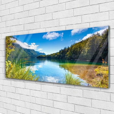 Quadro su vetro Montagne Foresta Natura Lago