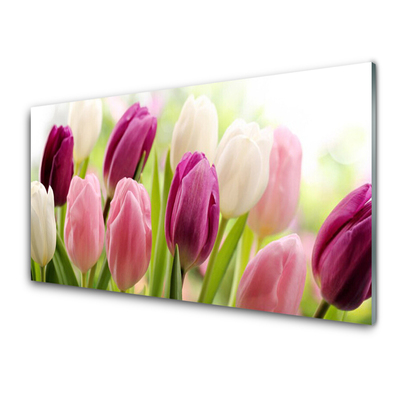 Quadro in vetro Tulipani Fiori Natura Prato