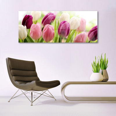 Quadro in vetro Tulipani Fiori Natura Prato