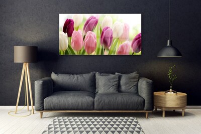 Quadro in vetro Tulipani Fiori Natura Prato