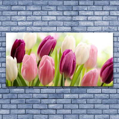 Quadro in vetro Tulipani Fiori Natura Prato