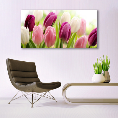 Quadro in vetro Tulipani Fiori Natura Prato
