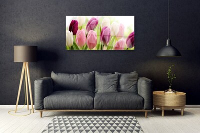 Quadro in vetro Tulipani Fiori Natura Prato