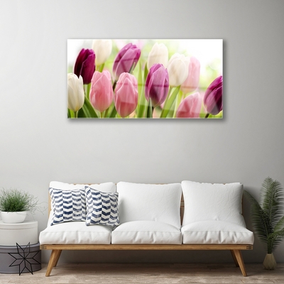 Quadro in vetro Tulipani Fiori Natura Prato