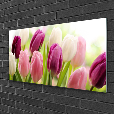 Quadro in vetro Tulipani Fiori Natura Prato