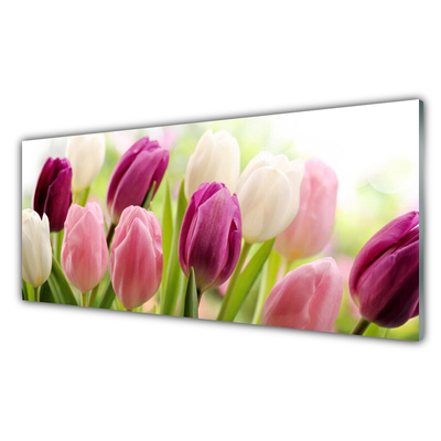 Quadro in vetro Tulipani Fiori Natura Prato