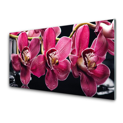 Quadro su vetro Fiori Steli di orchidea Natura