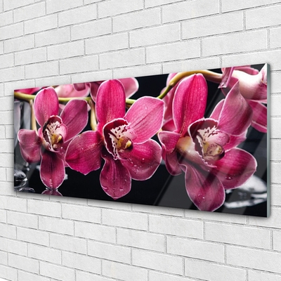 Quadro su vetro Fiori Steli di orchidea Natura