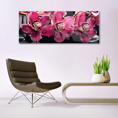 Quadro su vetro Fiori Steli di orchidea Natura