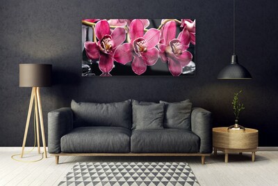 Quadro su vetro Fiori Steli di orchidea Natura