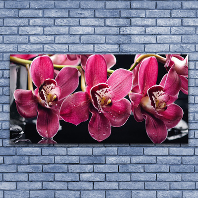 Quadro su vetro Fiori Steli di orchidea Natura