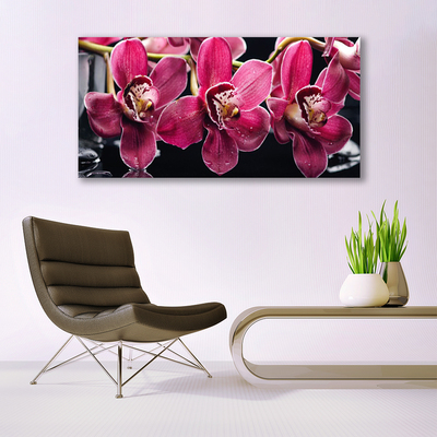 Quadro su vetro Fiori Steli di orchidea Natura