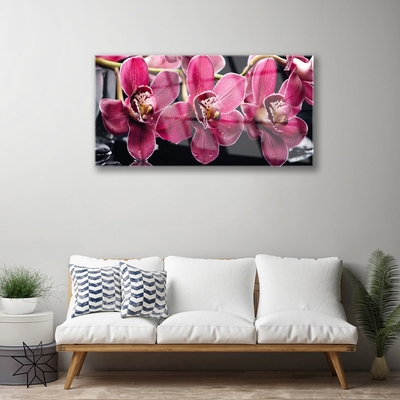 Quadro su vetro Fiori Steli di orchidea Natura