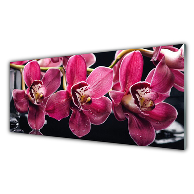 Quadro su vetro Fiori Steli di orchidea Natura