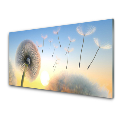 Quadro in vetro Pianta di fiori di soffio