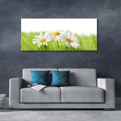 Quadro in vetro Pianta di fiori di margherita