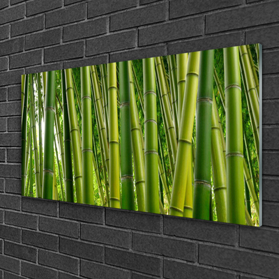 Quadro di vetro Foresta di bambù Germogli di bambù