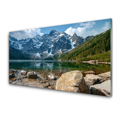 Quadro in vetro Montagne Foresta Lago dei Tatra