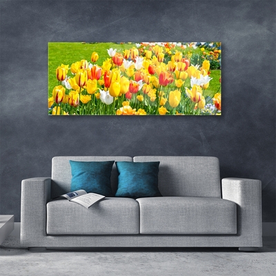 Quadro in vetro Tulipani Fiori della natura