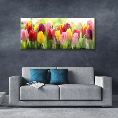 Quadro vetro Tulipani Fiori della natura