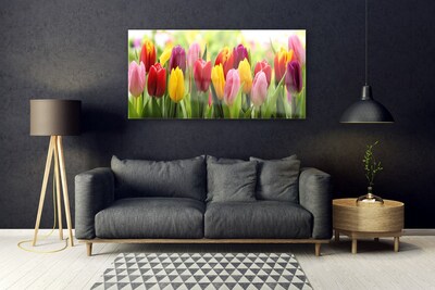 Quadro vetro Tulipani Fiori della natura