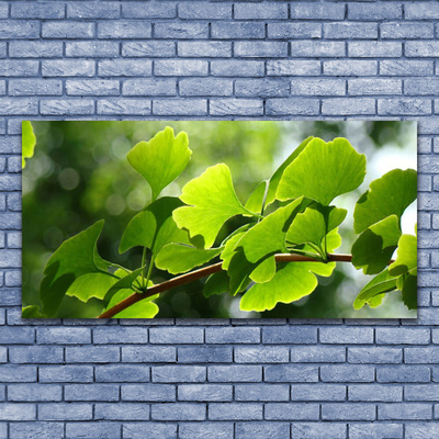 Quadro di vetro Rami Foglie Natura Albero