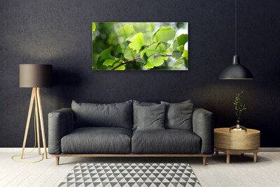 Quadro di vetro Rami Foglie Natura Albero