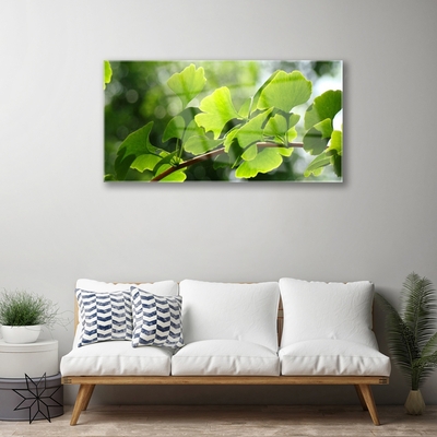 Quadro di vetro Rami Foglie Natura Albero