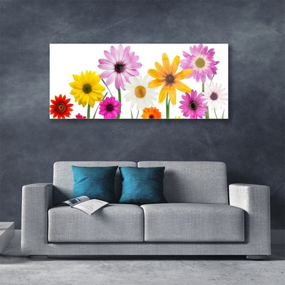 Quadro di vetro Fiori colorati della natura