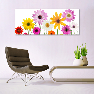 Quadro di vetro Fiori colorati della natura