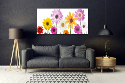 Quadro di vetro Fiori colorati della natura