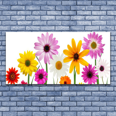 Quadro di vetro Fiori colorati della natura