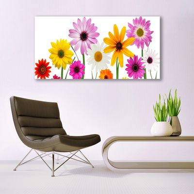 Quadro di vetro Fiori colorati della natura