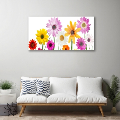 Quadro di vetro Fiori colorati della natura