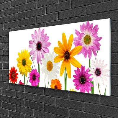 Quadro di vetro Fiori colorati della natura