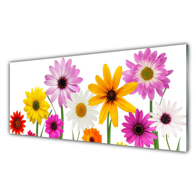 Quadro di vetro Fiori colorati della natura