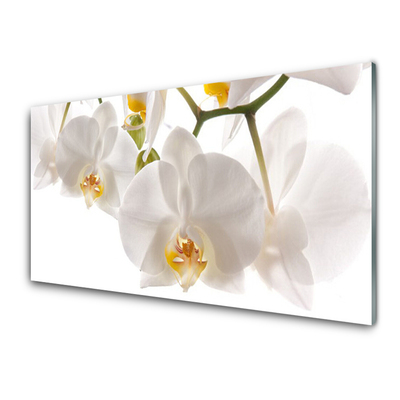 Quadro in vetro Orchidea Fiori della natura